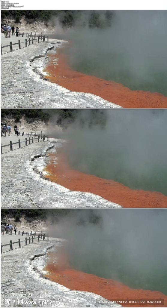 冒着热气的新西兰温泉