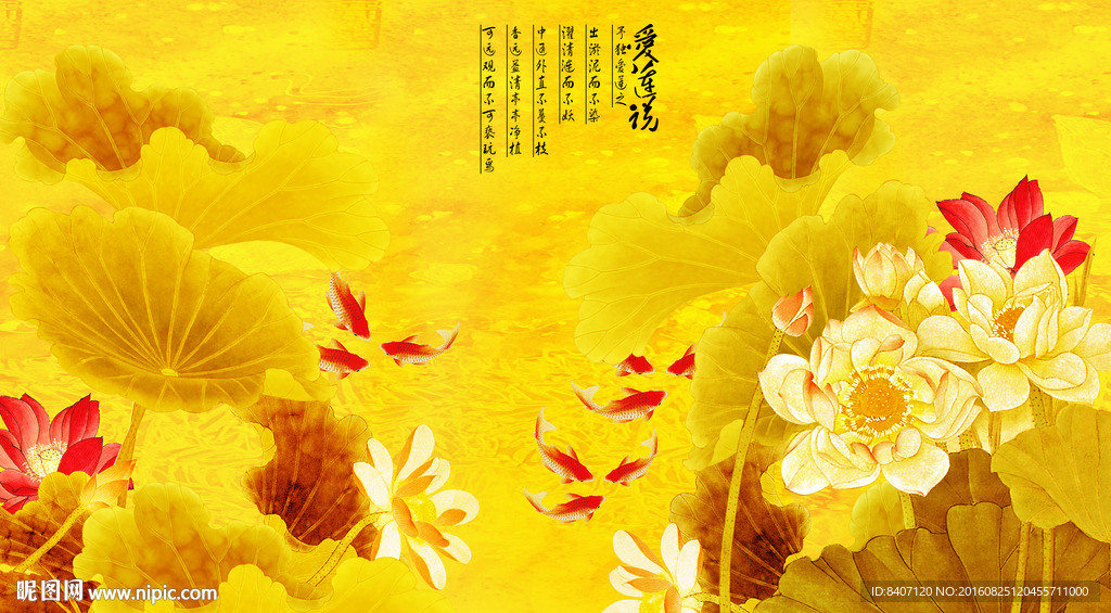 荷花九鱼图