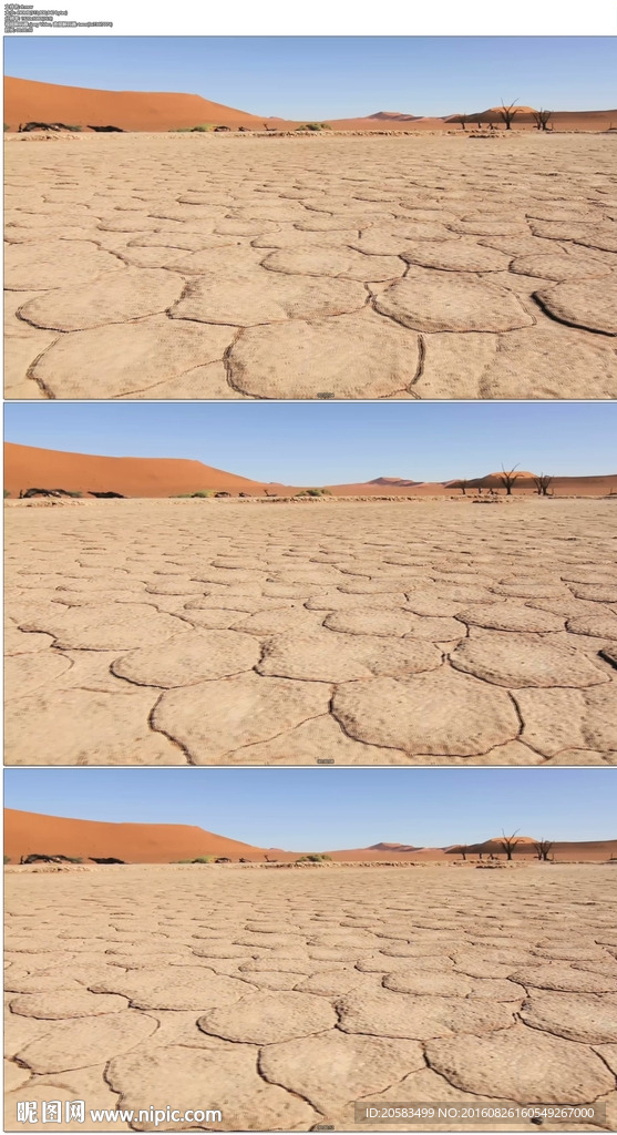 干裂的沙漠土地