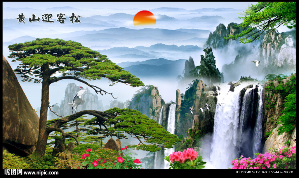 黄山迎客松