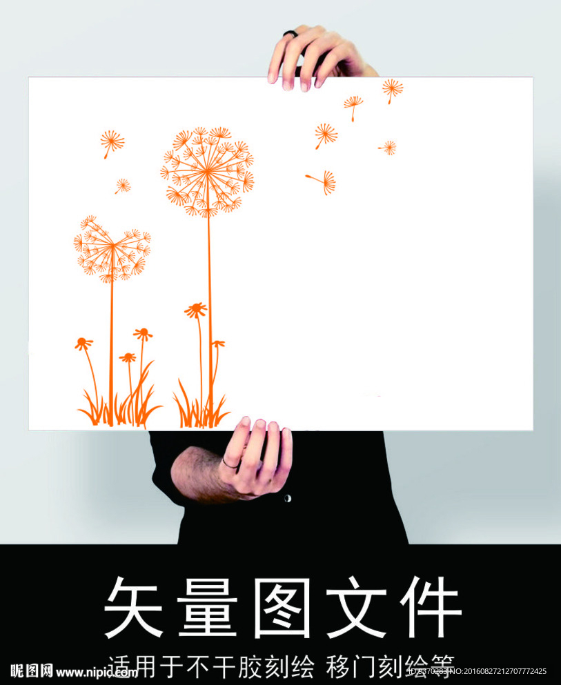 蒲公英