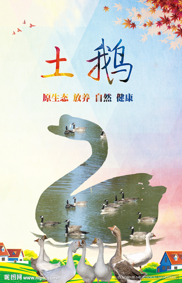 鹅