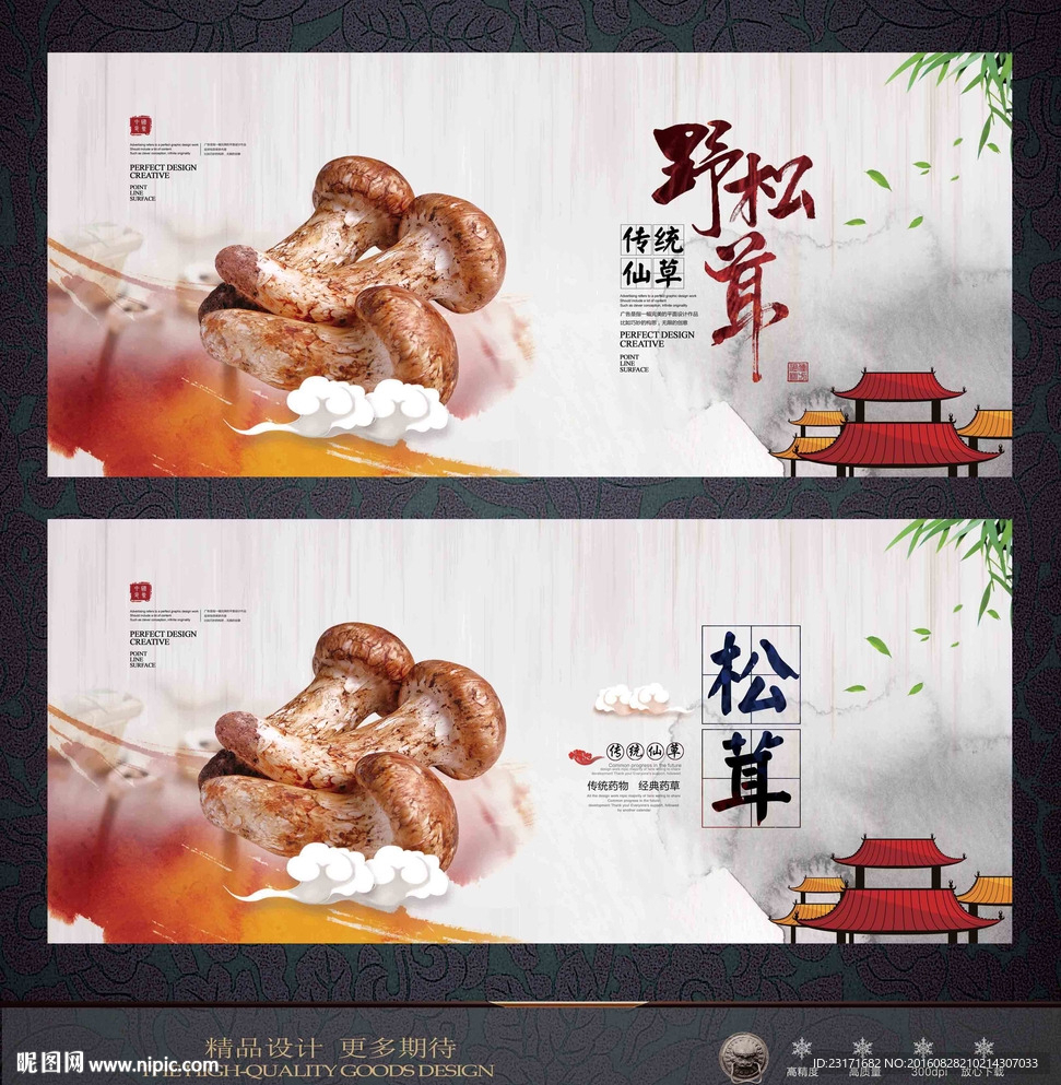 松茸菌