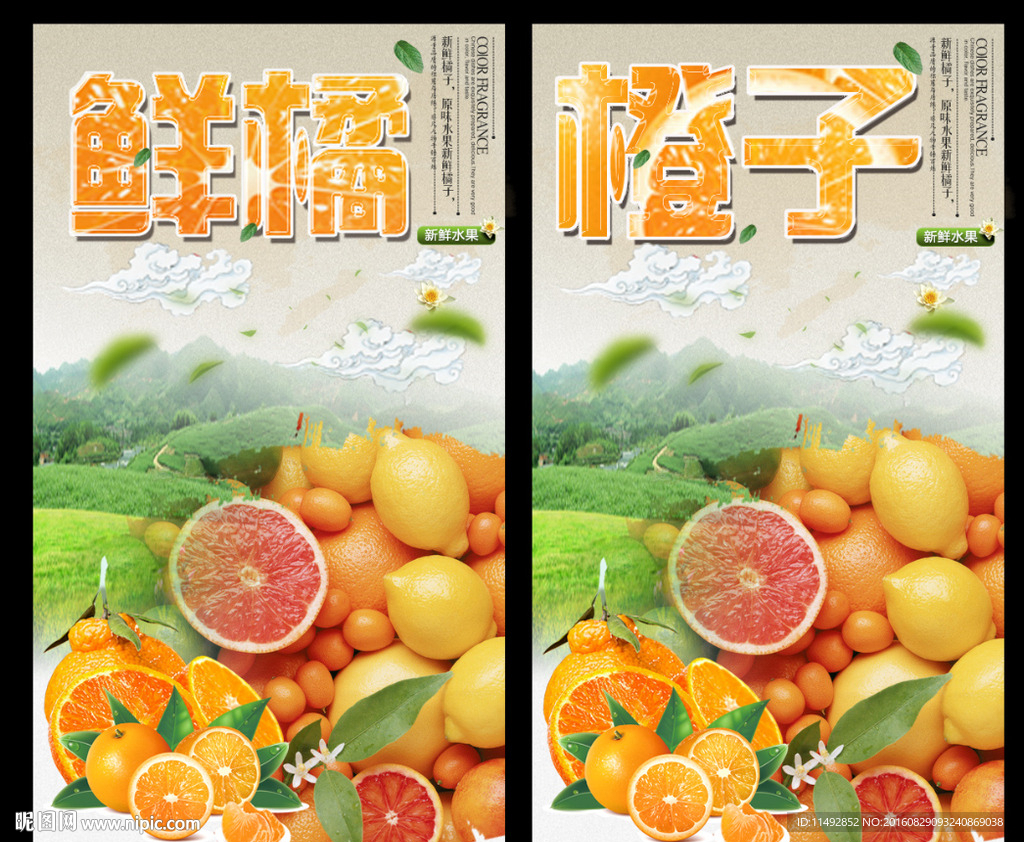 橘子