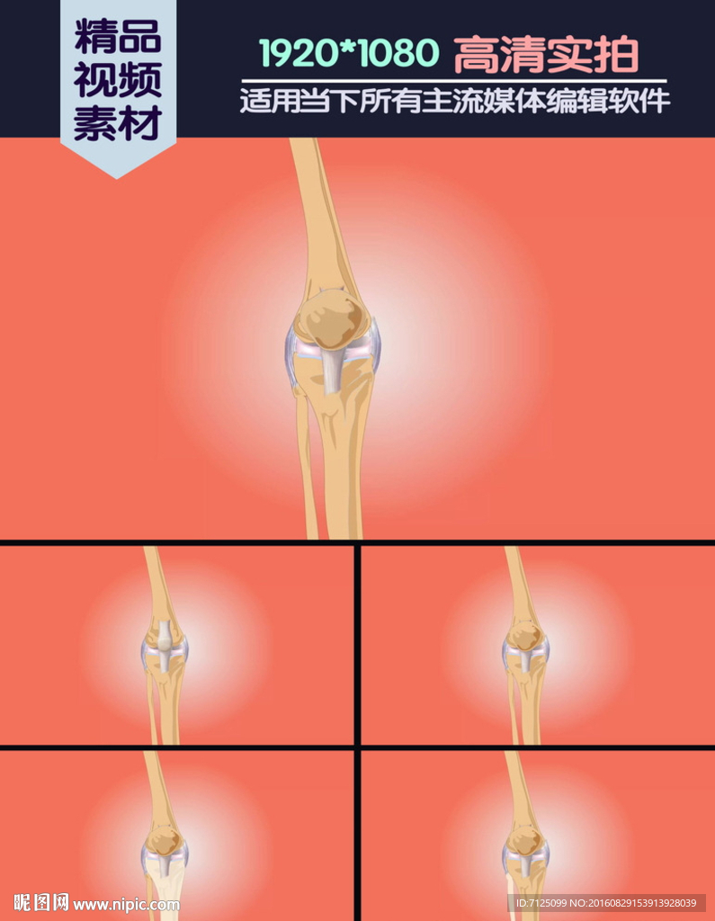 膝关节解剖医学演示动画