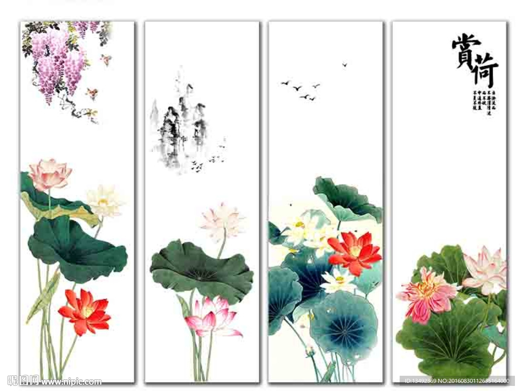 工笔荷花