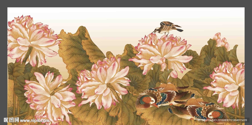 荷花