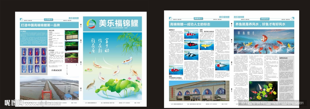 观赏鱼 锦鲤 报纸 logo