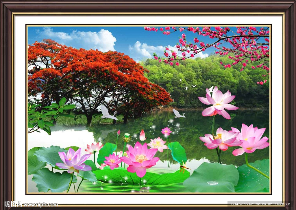 荷花风景