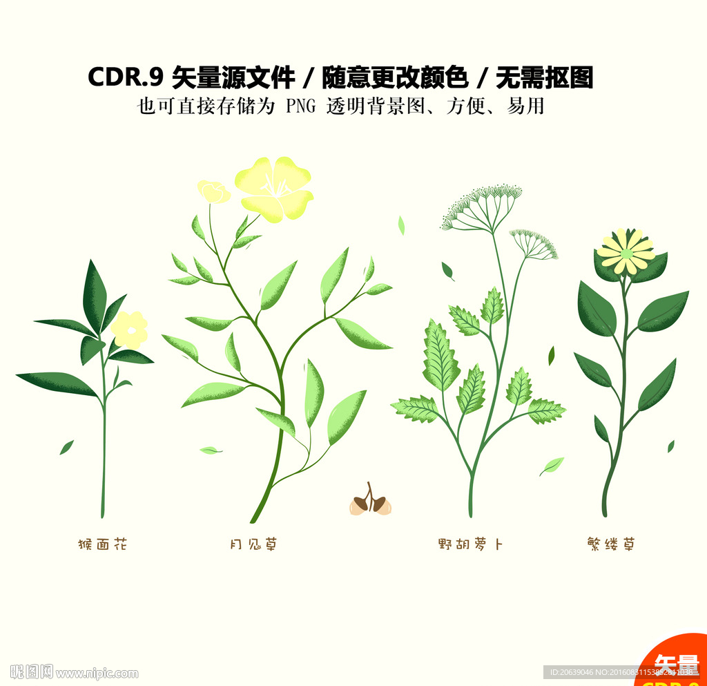 手绘植物花草矢量图