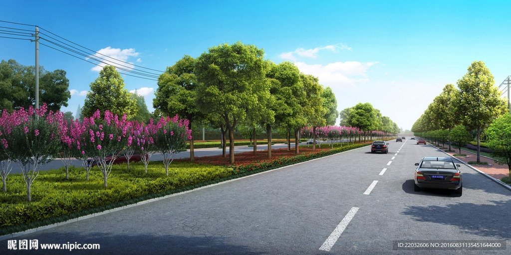 道路绿化设计