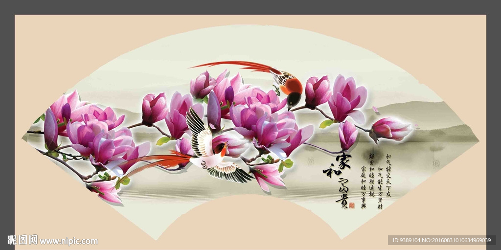 玉兰花