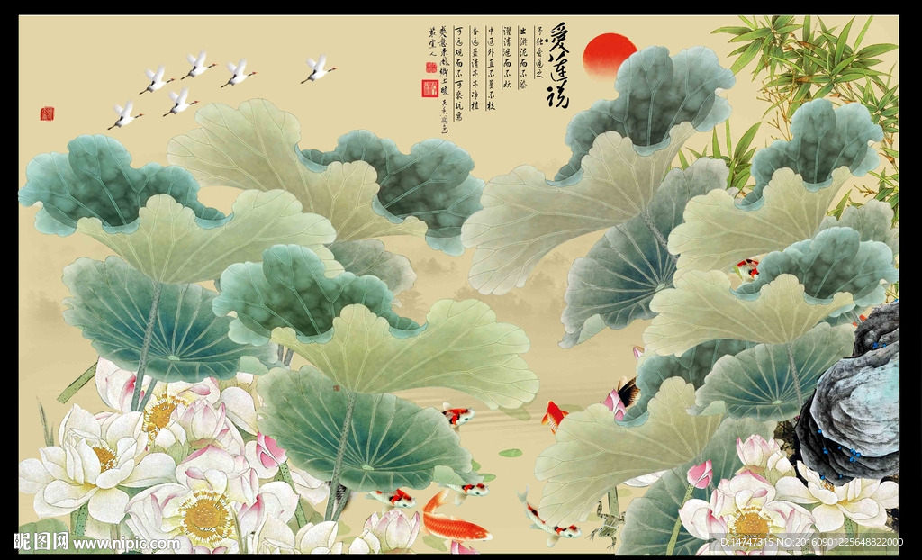 国画荷花