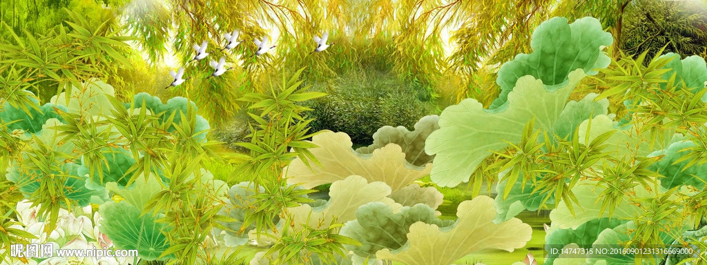 荷花国画