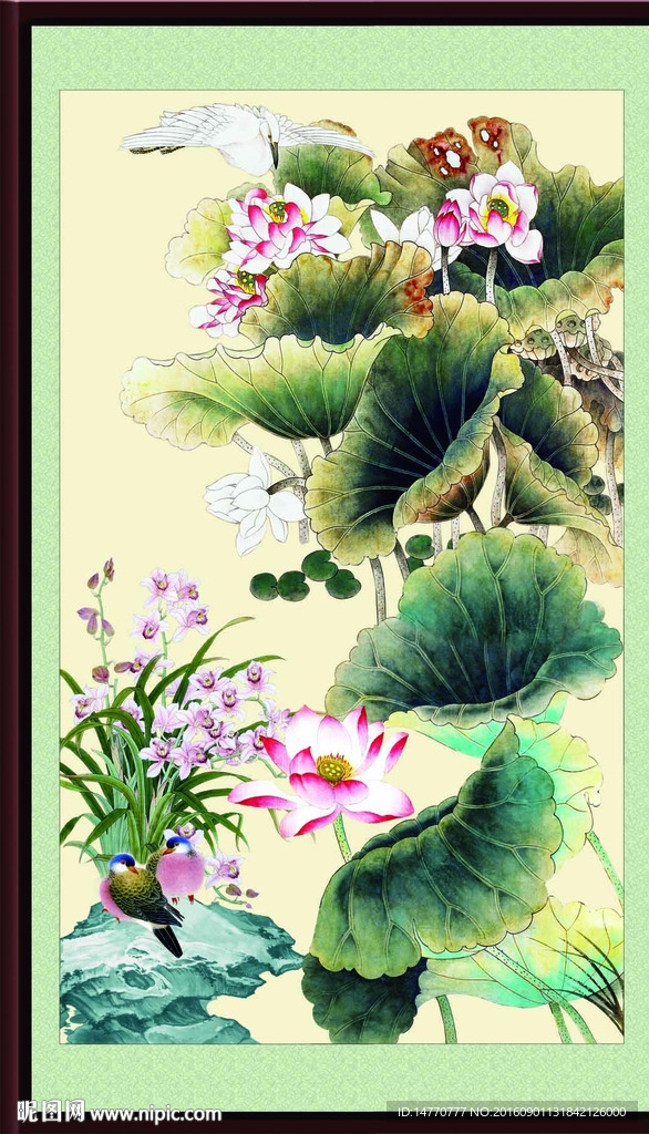 荷花图