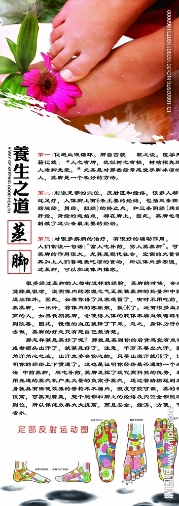 中医养生 蒸脚  足疗 足浴