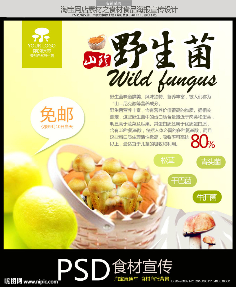 食用野生菌之山珍宣传海报单页