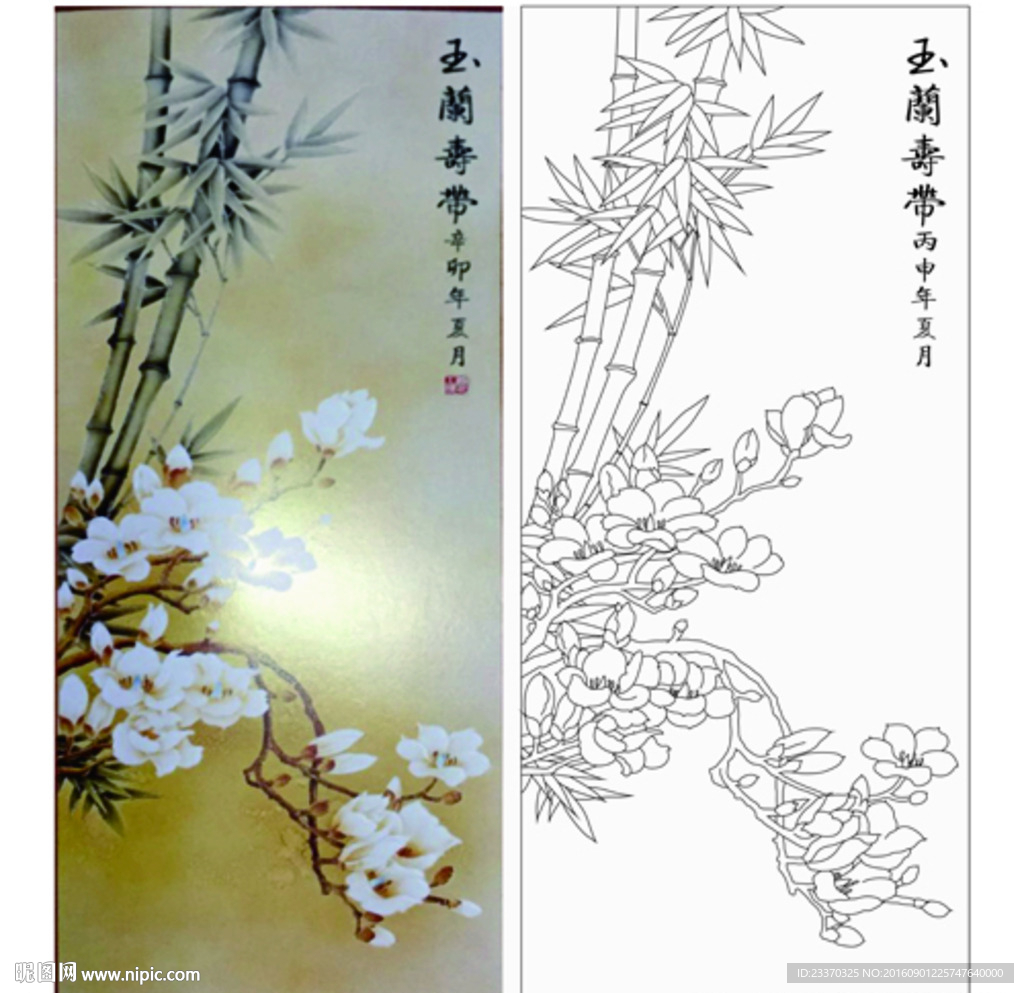 玉兰寿带