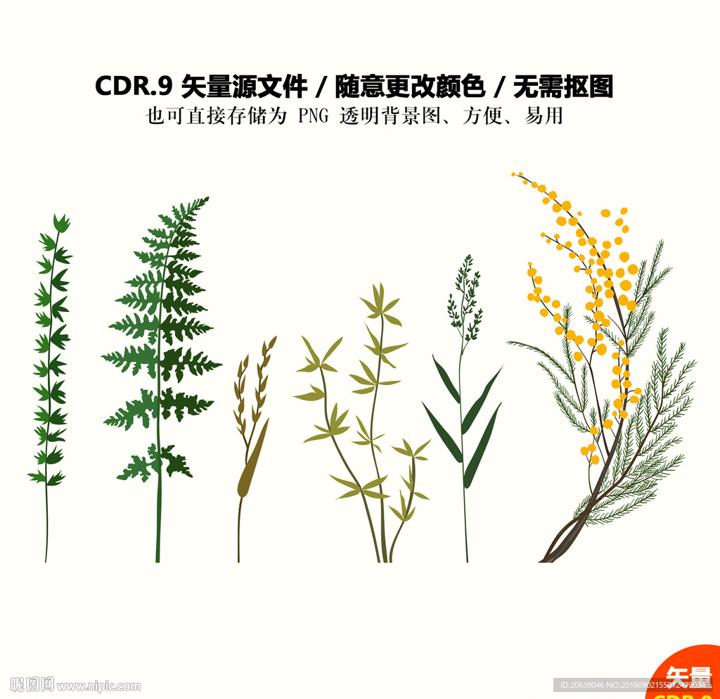 手绘植物花草矢量图