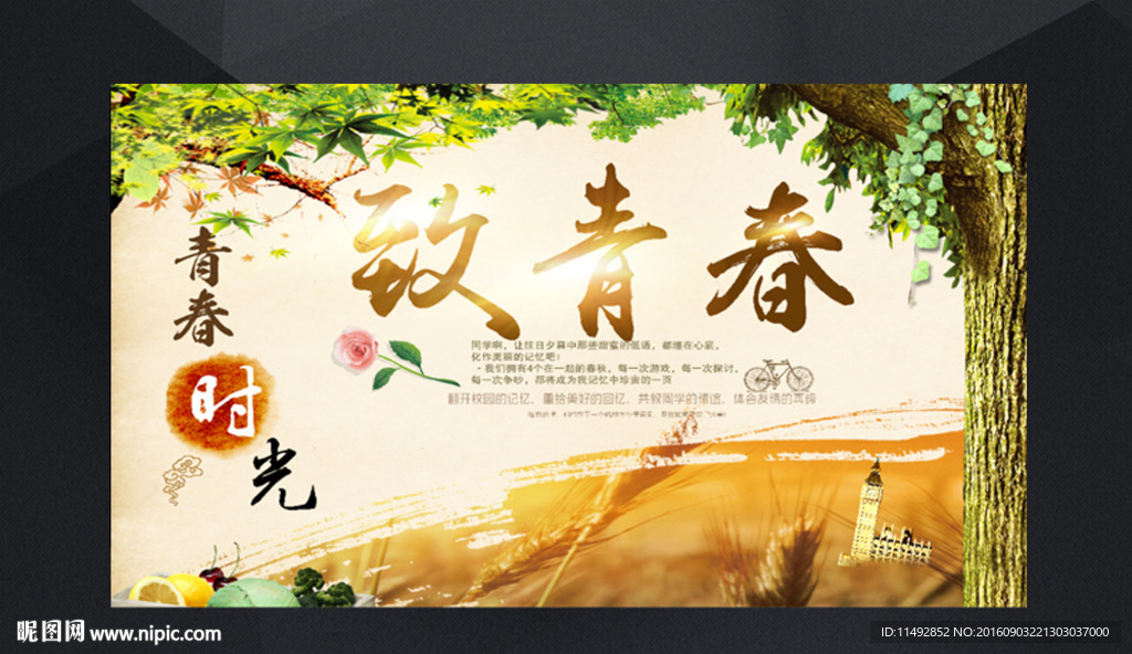 致青春