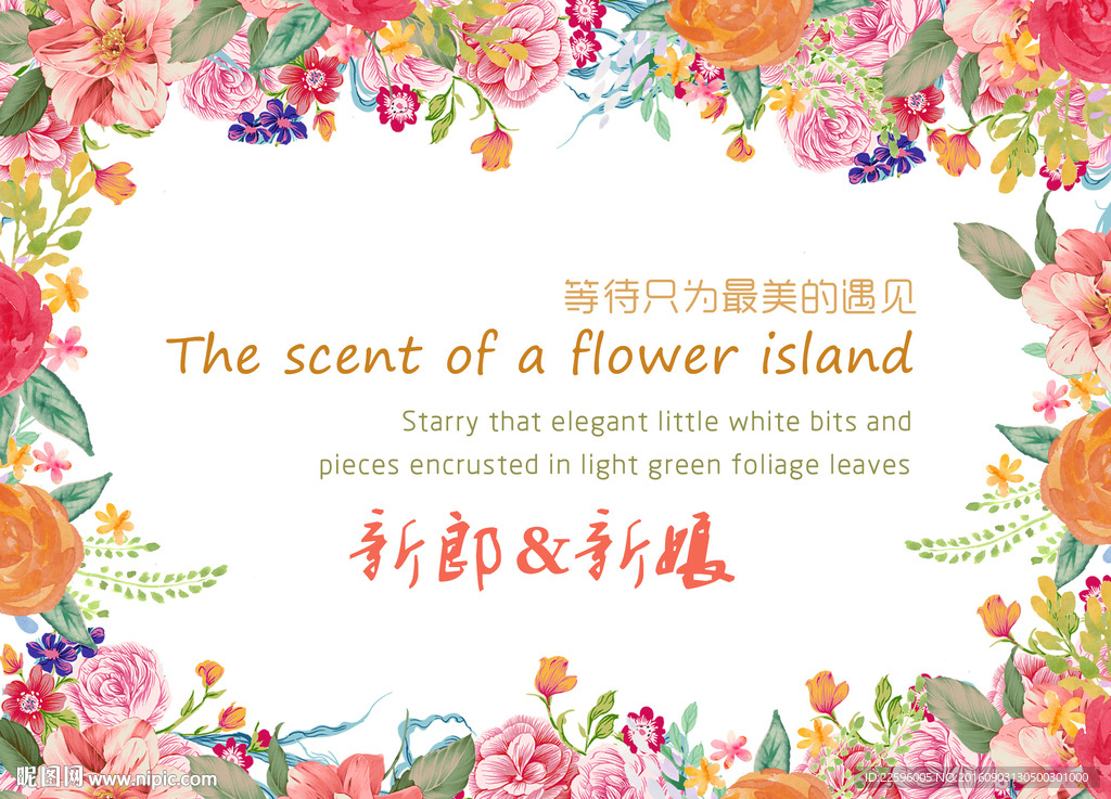 花边素材