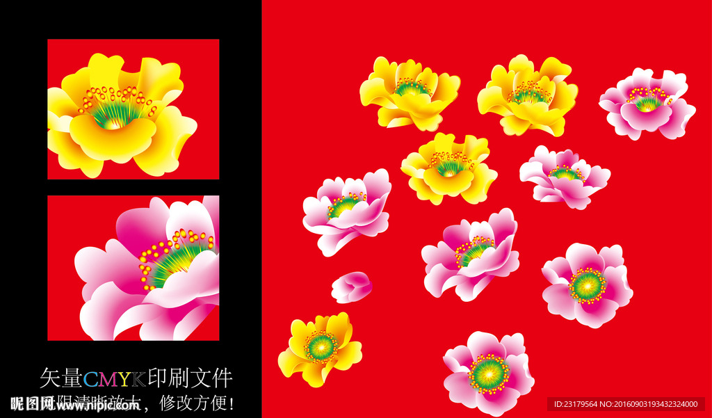 茶花