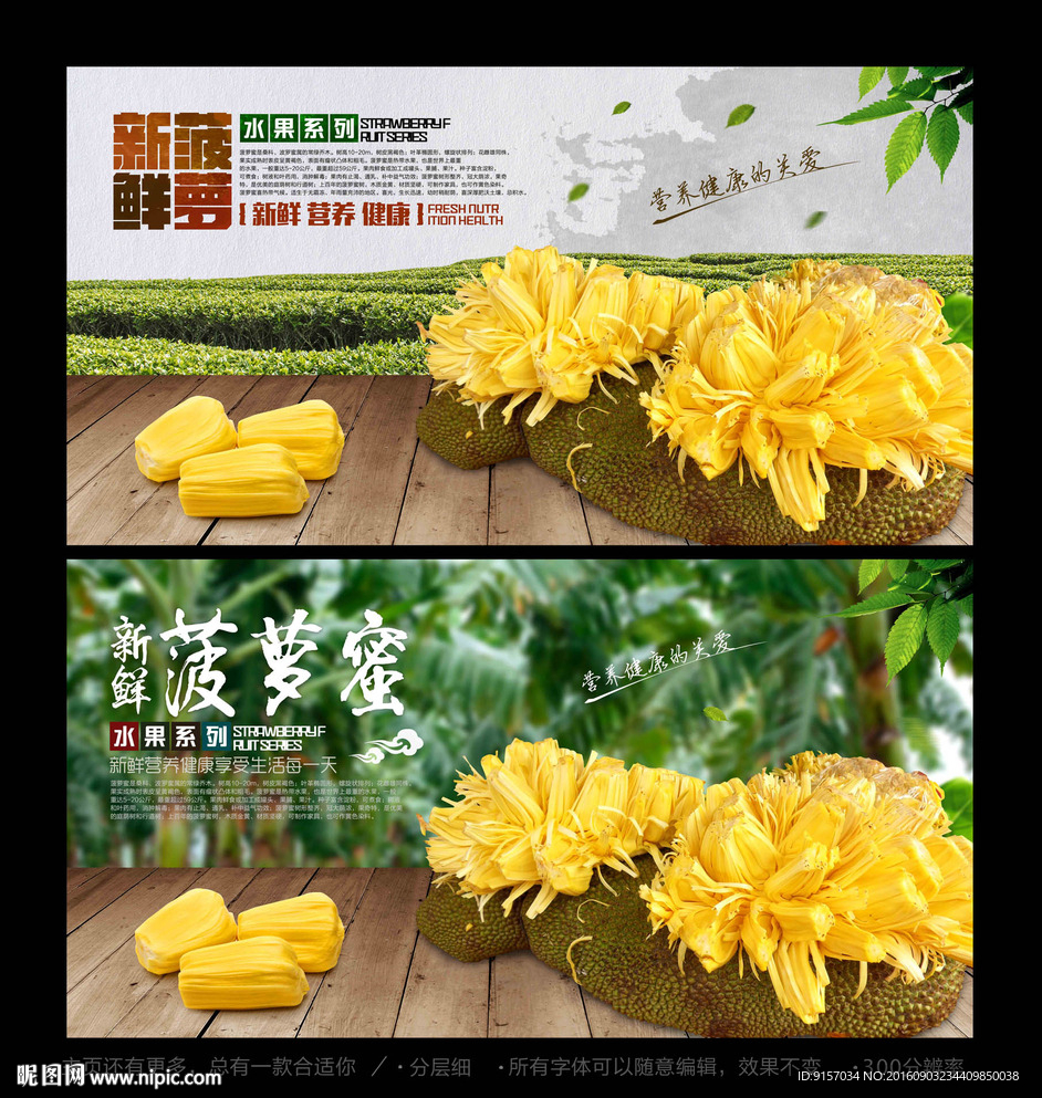 菠萝蜜