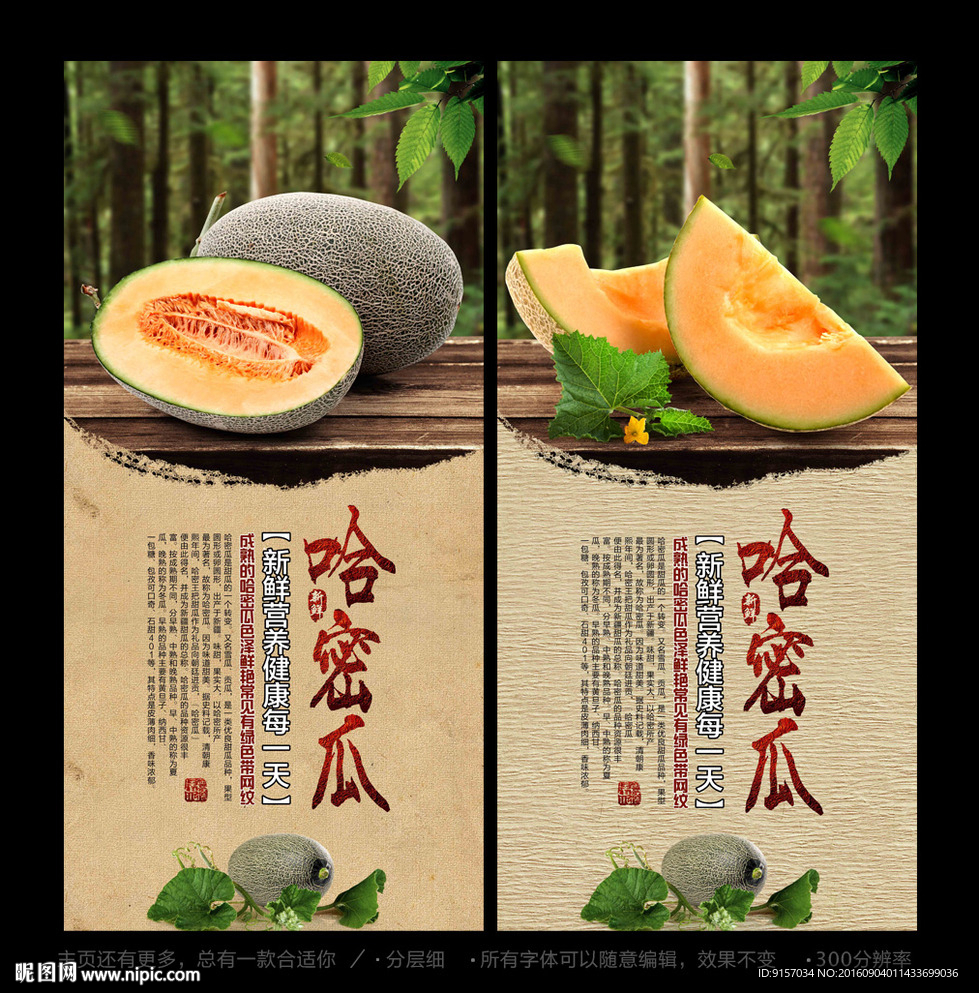 哈密瓜