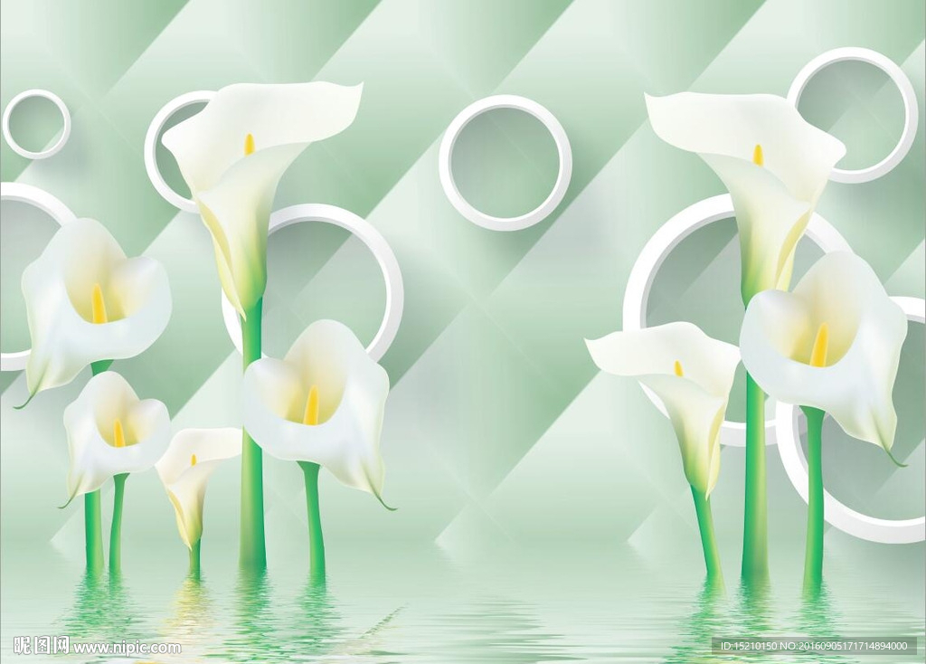 3D马蹄莲