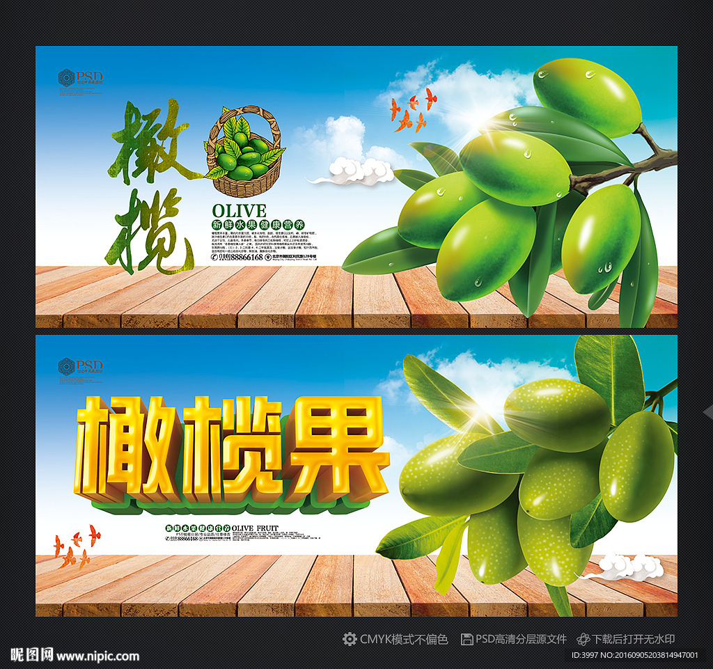橄榄