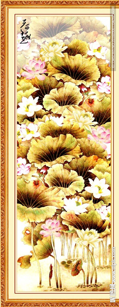 荷花