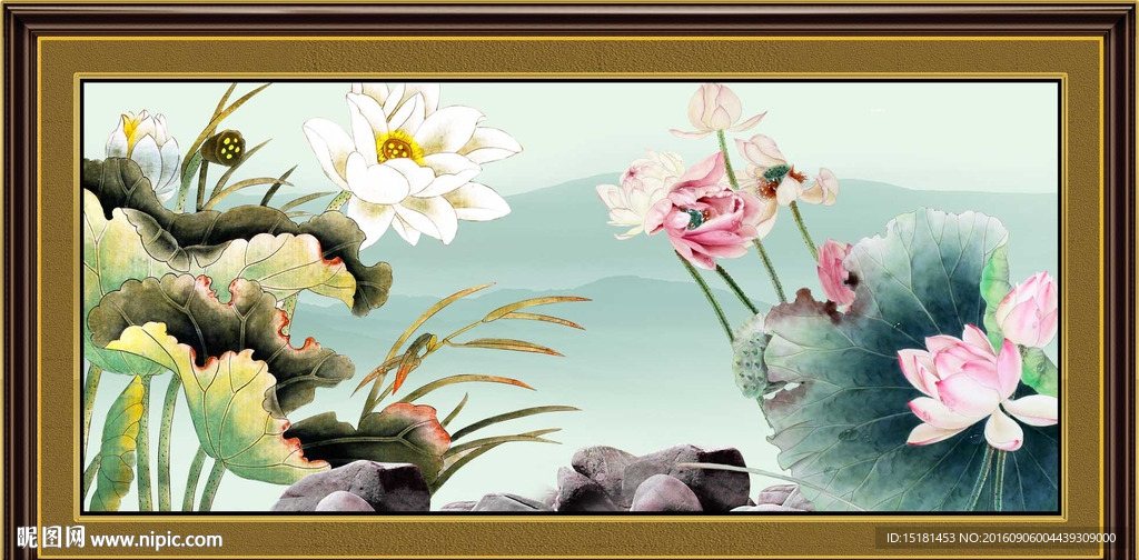 荷花图