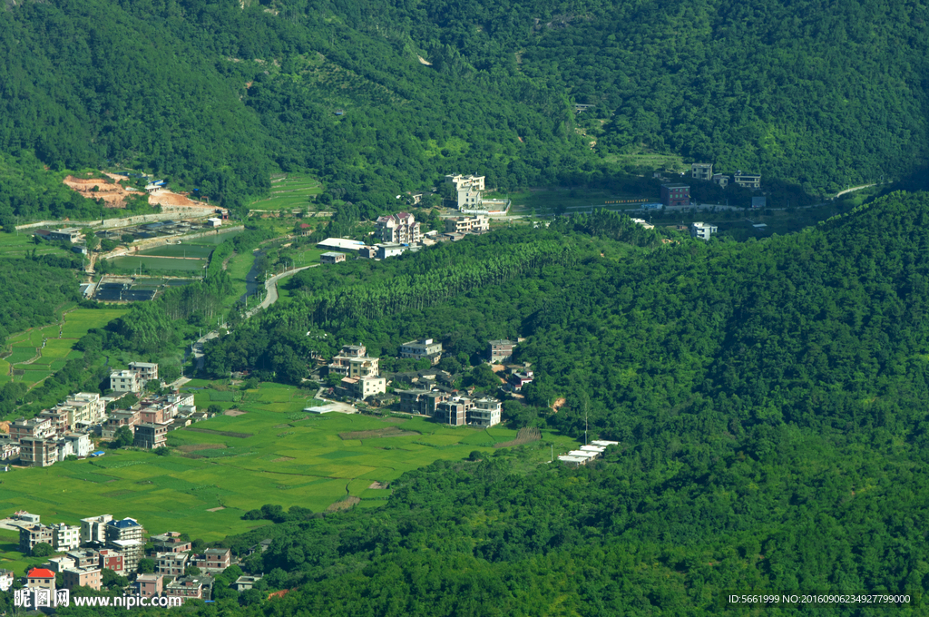 俯瞰绿色村庄