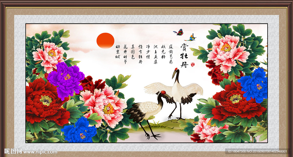 牡丹