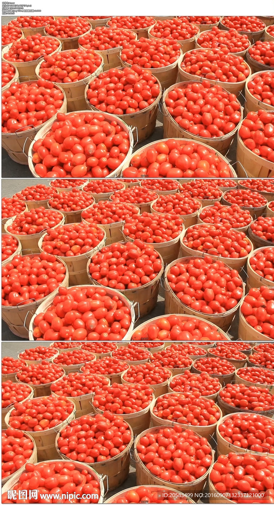 农贸市场小番茄