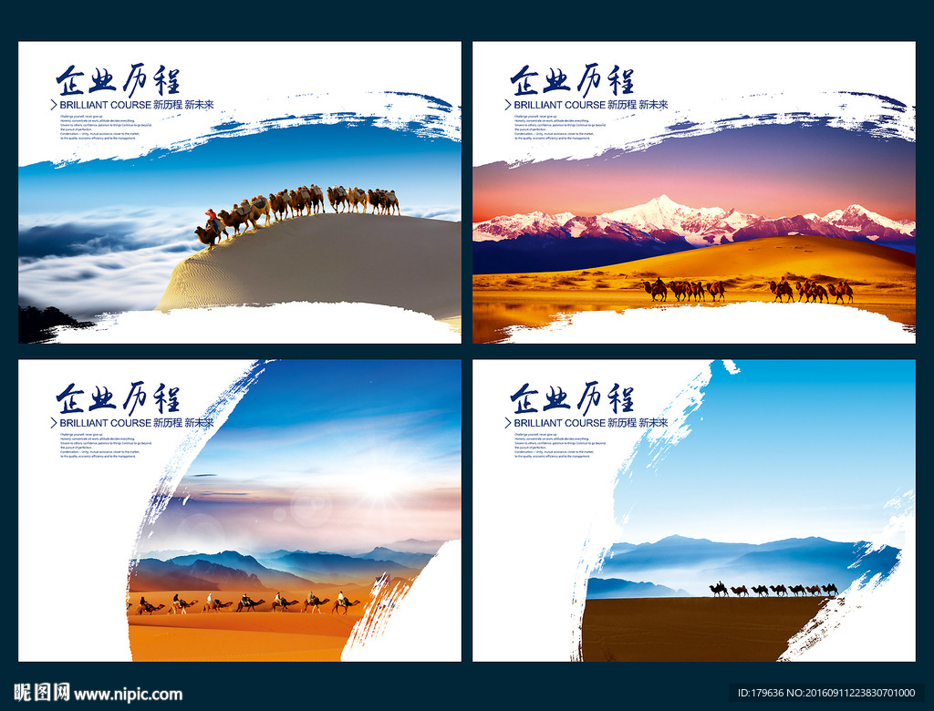 企业发展历程