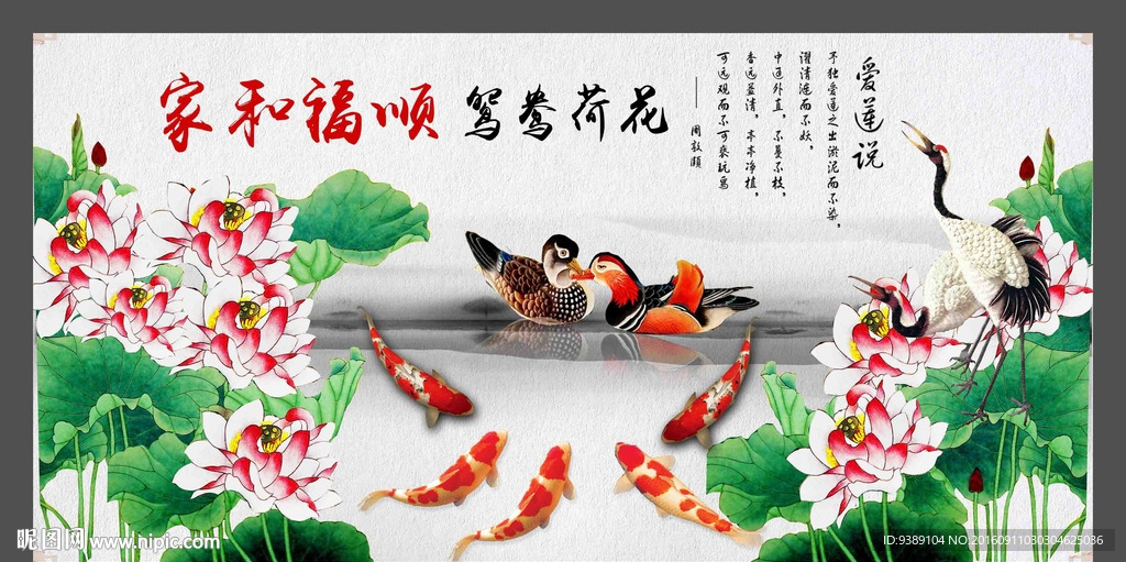 荷花鱼