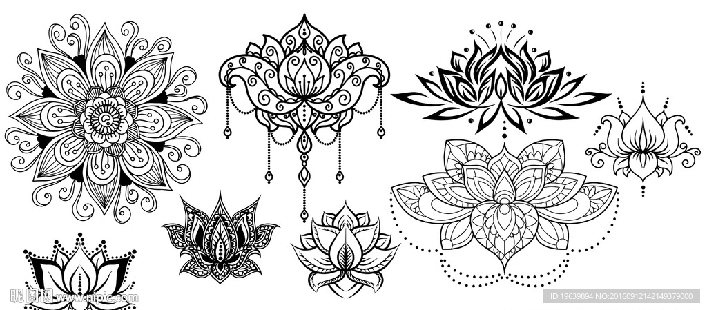 荷花  花纹 图腾