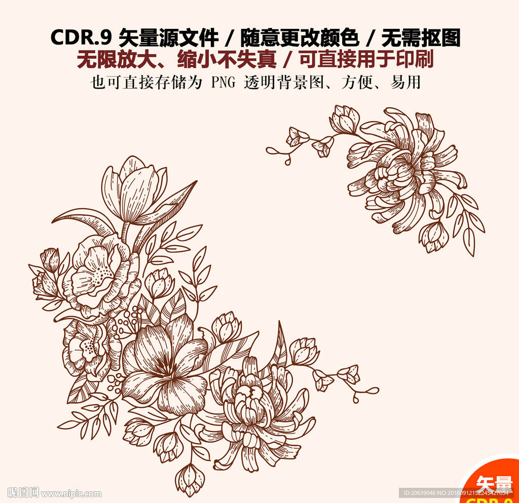 手绘线描鲜花插画矢量图