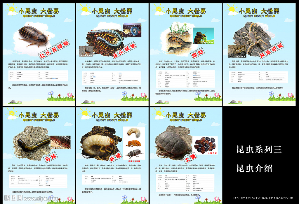 虫虫系列三——昆虫介绍