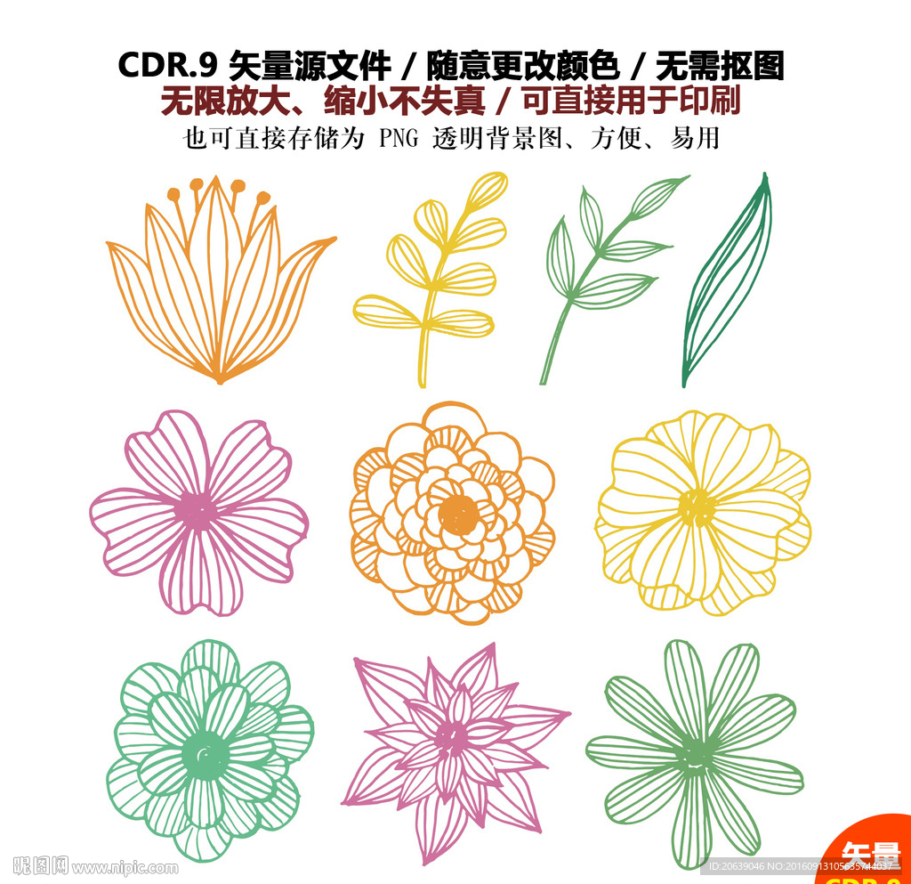 精美手绘鲜花线描矢量图