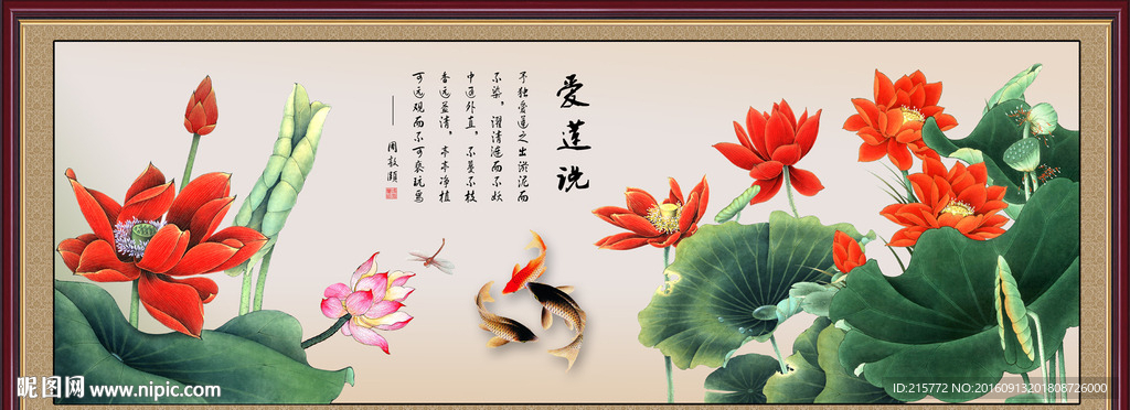 荷花