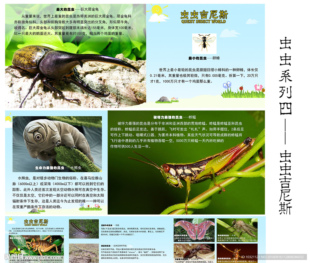 虫虫系列四——昆虫吉尼斯