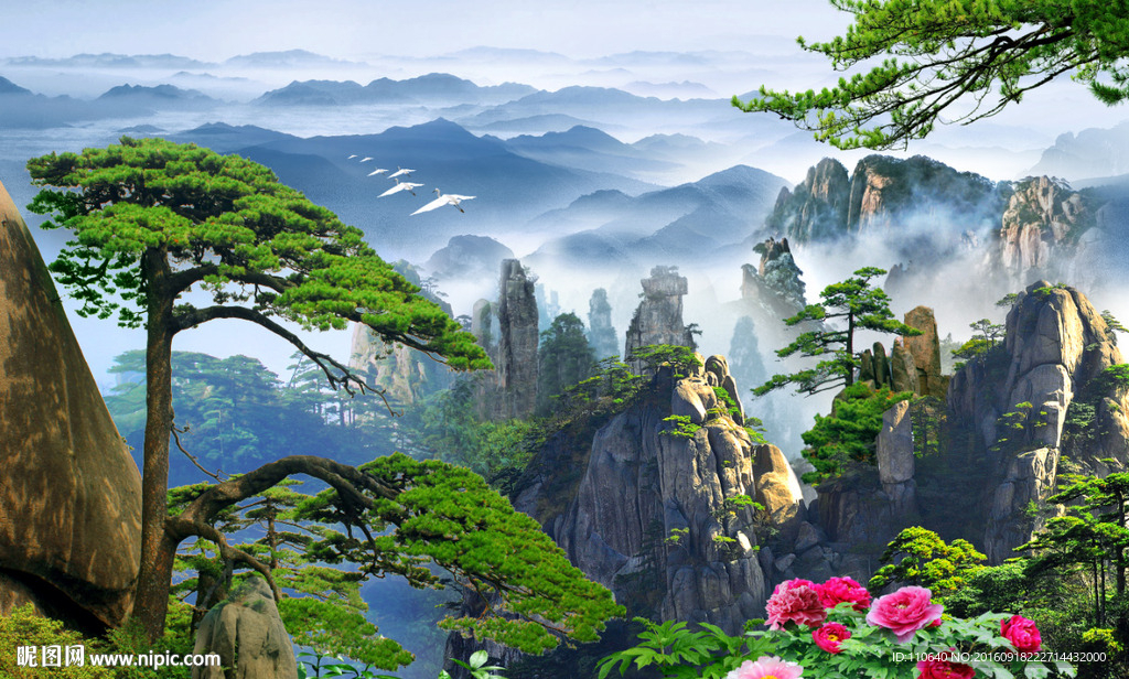 黄山迎客松