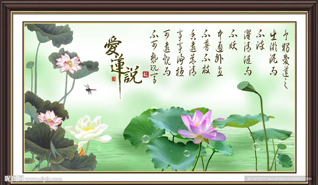 荷花国画