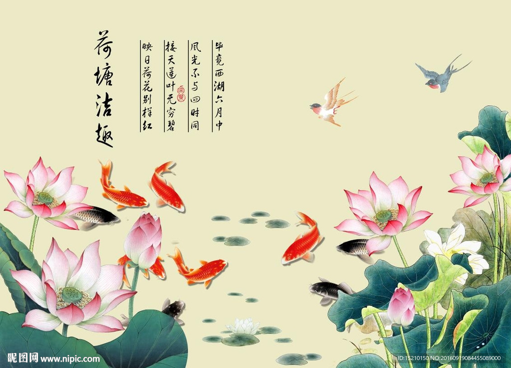 荷花九鱼图