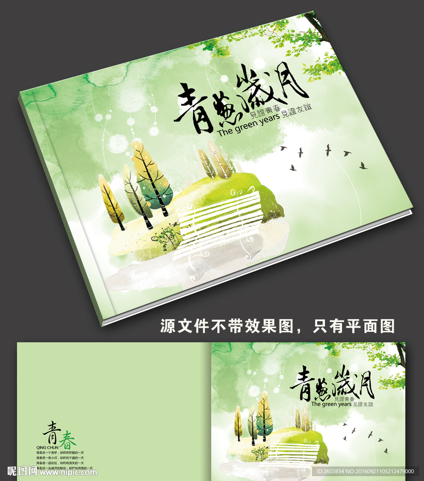 青葱岁月画册封面