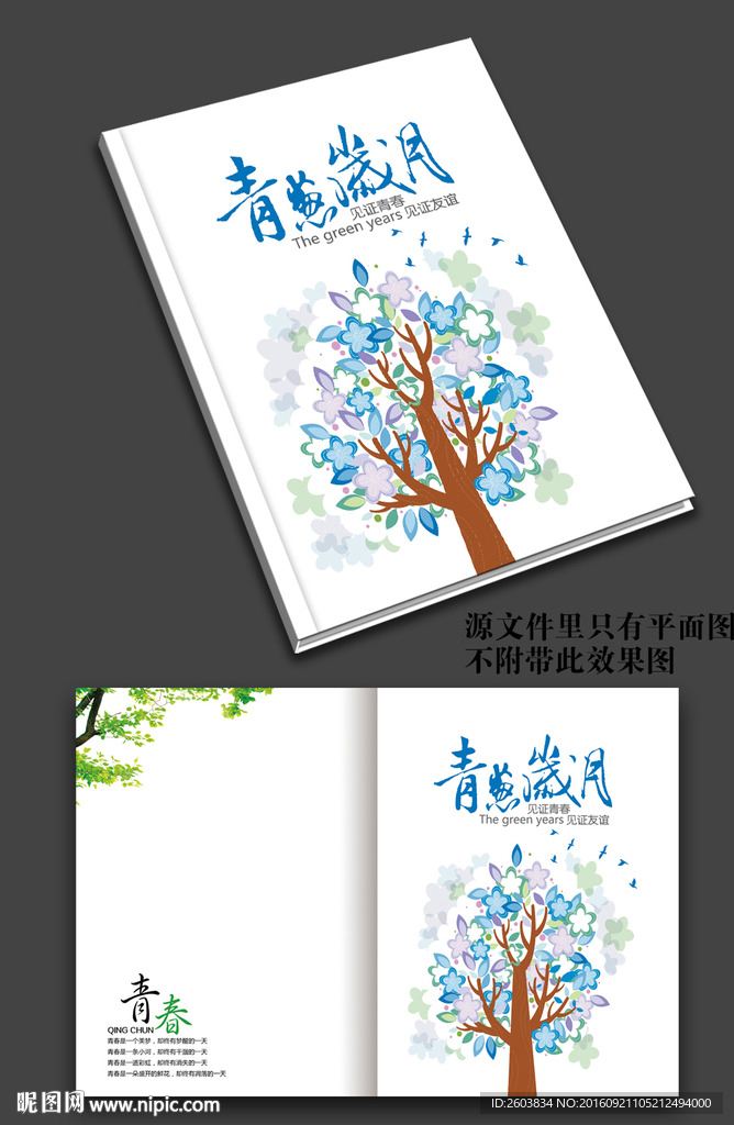 青葱岁月画册封面