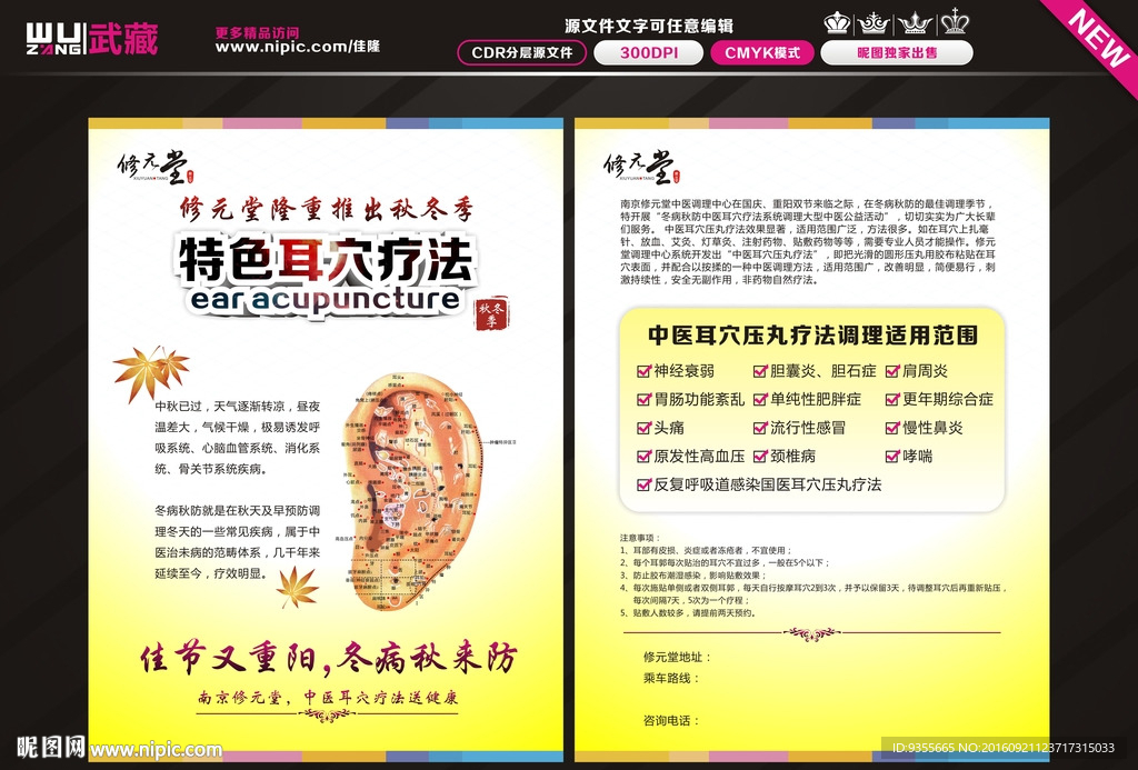 耳穴疗法 彩页