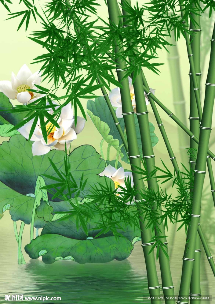 竹子荷花
